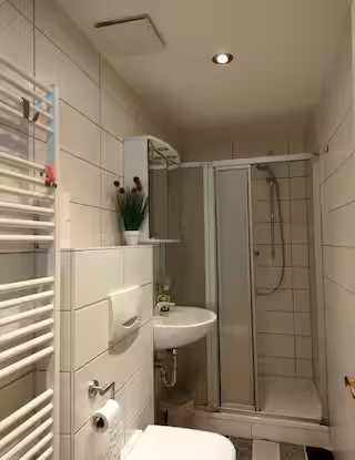 Wohnung 1: Badezimmer mit Dusche und Waschbecken