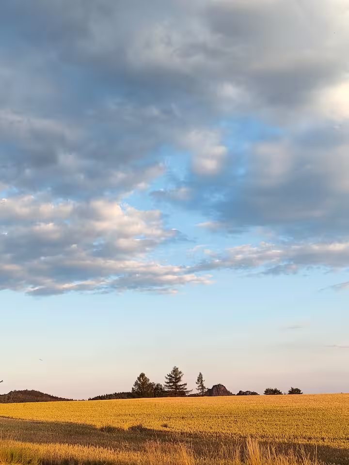 Blick über die Felder und Wälder der Sächsischen Schweiz