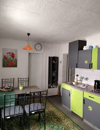Wohnung 1: Wohnküche mit Esstisch und grüner Küchenzeile