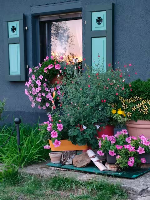 Wohnung 2: Blühende Blumen vor der Fassade mit Fensterläden